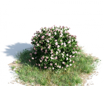 Modern Tree/shrub/grass-ID:721351522