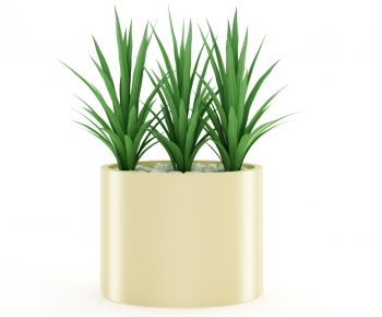 Modern Potted Green Plant-ID:216431717