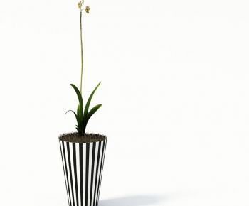 Modern Potted Green Plant-ID:686639596