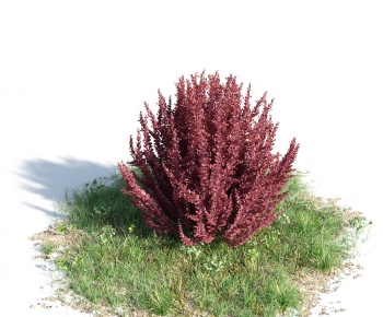 Modern Tree/shrub/grass-ID:841009439