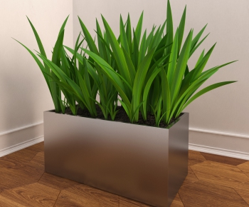 Modern Potted Green Plant-ID:529181247