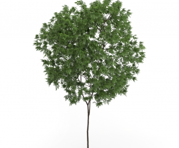 Modern Tree/shrub/grass-ID:793890171