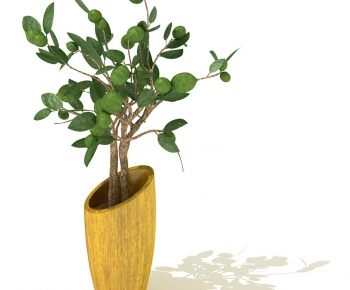 Modern Potted Green Plant-ID:350270798