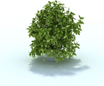 Modern Potted Green Plant-ID:370880742