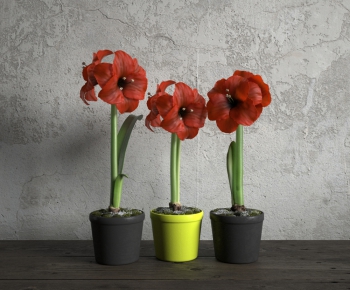 Modern Flowers-ID:880681918