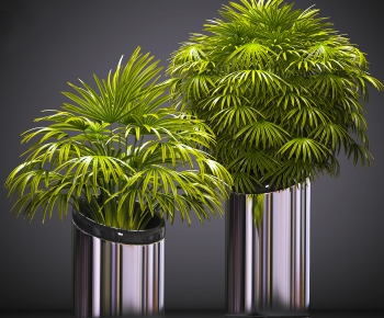 Modern Potted Green Plant-ID:542090592
