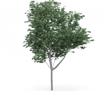 Modern Tree/shrub/grass-ID:555421157