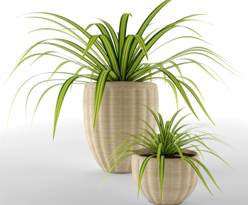 Modern Potted Green Plant-ID:390570224