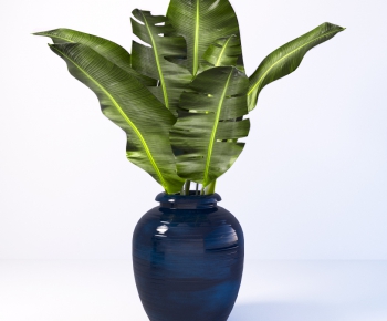 Modern Potted Green Plant-ID:797305444