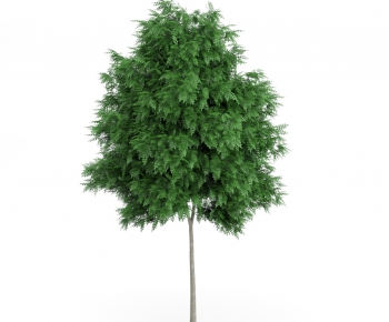 Modern Tree/shrub/grass-ID:238875844