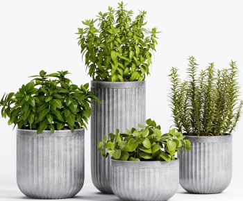 Modern Potted Green Plant-ID:736027941