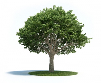 Modern Tree/shrub/grass-ID:712285115