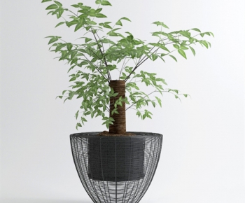 Modern Potted Green Plant-ID:453351255