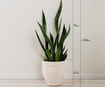 Modern Potted Green Plant-ID:237168491