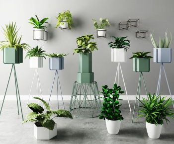 Modern Potted Green Plant-ID:293703133
