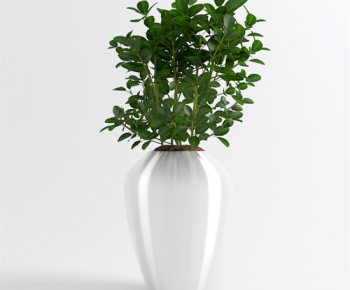 Modern Potted Green Plant-ID:778153632