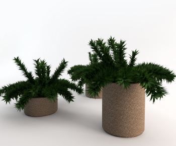Modern Potted Green Plant-ID:901123517