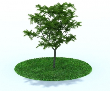 Modern Tree/shrub/grass-ID:525993164