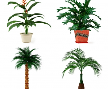 Modern Potted Green Plant-ID:293247596