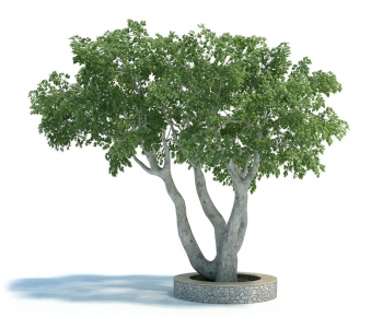 Modern Tree/shrub/grass-ID:659061127