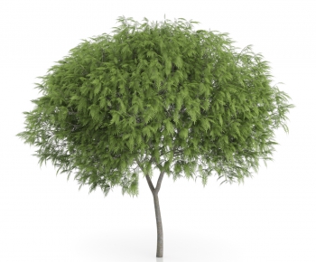 Modern Tree/shrub/grass-ID:973618764