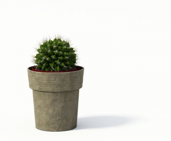 Modern Potted Green Plant-ID:569798432