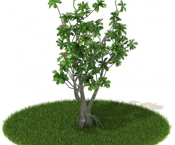 Modern Tree/shrub/grass-ID:824796588