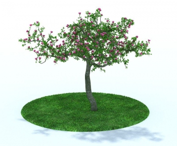 Modern Tree/shrub/grass-ID:462553682