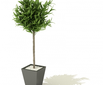 Modern Potted Green Plant-ID:451174337