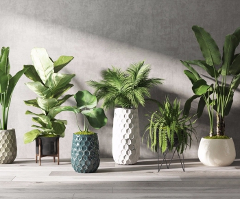 Modern Potted Green Plant-ID:671272468