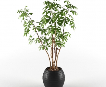 Modern Potted Green Plant-ID:401192769