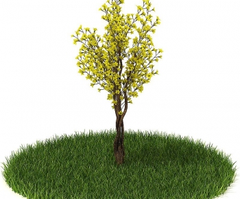 Modern Tree/shrub/grass-ID:767564117