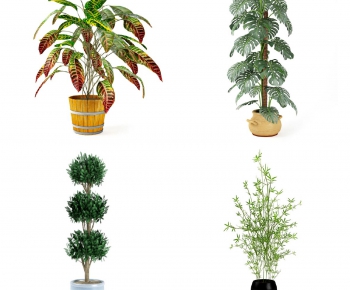 Modern Potted Green Plant-ID:273976667