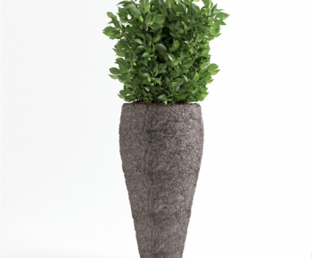 Modern Potted Green Plant-ID:590717891