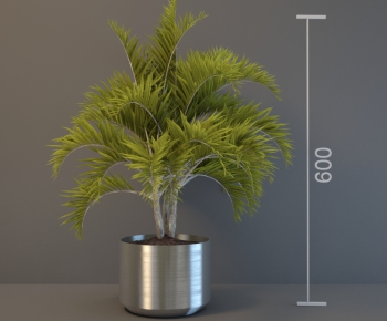 Modern Potted Green Plant-ID:317804852
