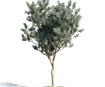 Modern Tree/shrub/grass-ID:941896248