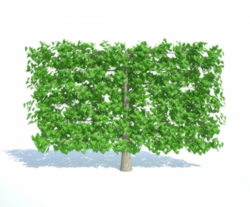 Modern Tree-ID:115282885