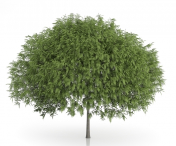 Modern Tree/shrub/grass-ID:820254722