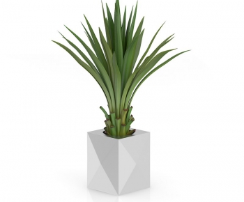 Modern Potted Green Plant-ID:318235122