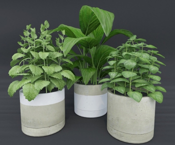 Modern Potted Green Plant-ID:967366411