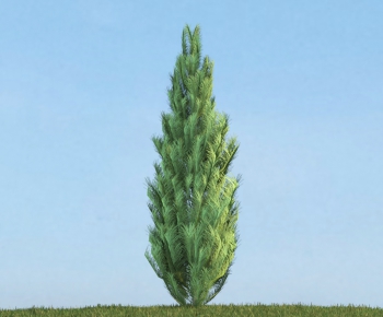 Modern Tree/shrub/grass-ID:925123824