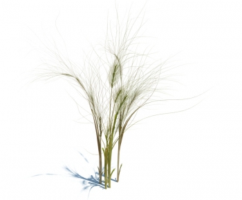Modern Tree/shrub/grass-ID:354023983
