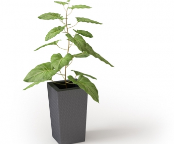 Modern Potted Green Plant-ID:409916316