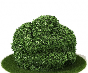 Modern Tree/shrub/grass-ID:916101921