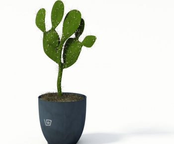 Modern Potted Green Plant-ID:585942831