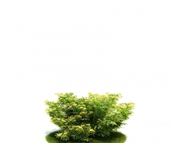 Modern Tree/shrub/grass-ID:691785292