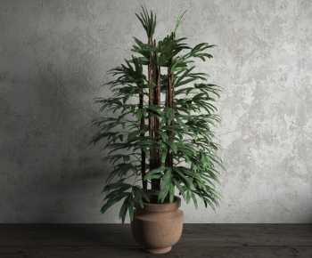 Modern Potted Green Plant-ID:861018271