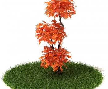 Modern Tree/shrub/grass-ID:893590444