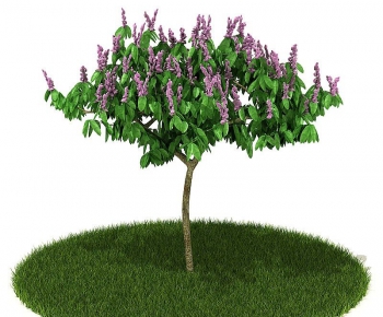 Modern Tree/shrub/grass-ID:847674577