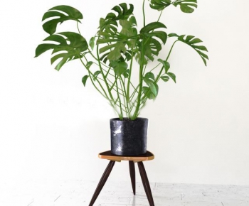 Modern Potted Green Plant-ID:288289177